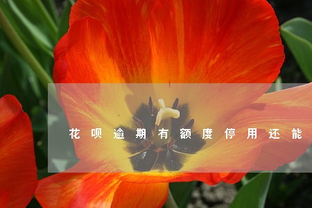 花呗逾期有额度停用还能刷吗