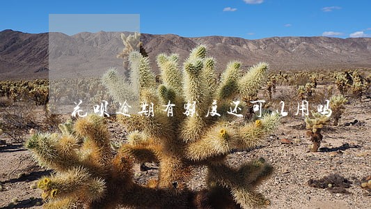花呗逾期有额度还可以用吗 花呗逾期有额度还可以用吗