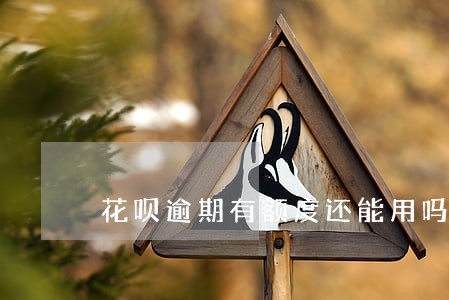花呗逾期有额度还能用吗 花呗逾期有额度还能用吗