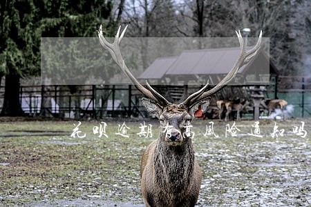 花呗逾期有高风险通知吗 花呗逾期有高风险通知吗