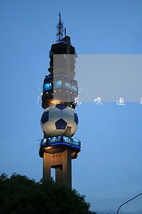花呗逾期朋友的芝麻信用卡吗 花呗逾期朋友的芝麻信用卡吗