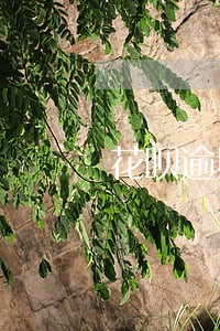 花呗逾期朋友转账被扣掉怎么办 花呗逾期朋友转账被扣掉怎么办