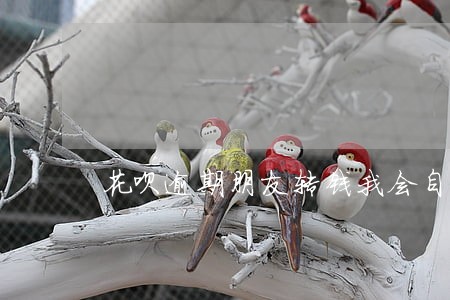 花呗逾期朋友转钱我会自动扣除吗 花呗逾期朋友转钱我会自动扣除吗