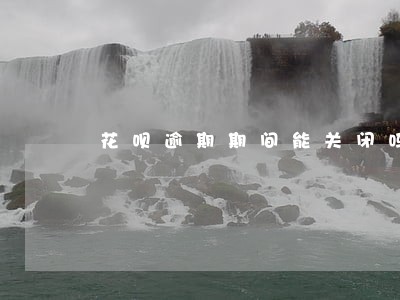 花呗逾期期间能关闭吗 花呗逾期期间能关闭吗