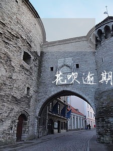 花呗逾期未处理需要怎么还款 花呗逾期未处理需要怎么还款