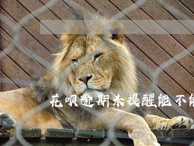 花呗逾期未提醒能不能反映客服 花呗逾期未提醒能不能反映客服