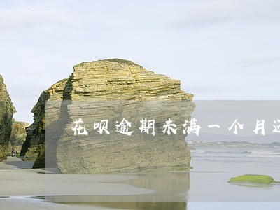 花呗逾期未满一个月还能用吗 花呗逾期未满一个月还能用吗