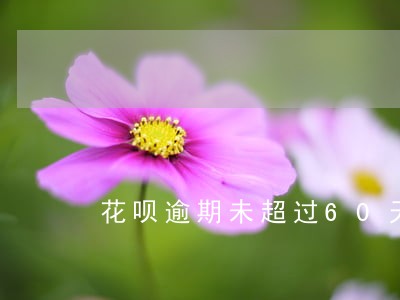 花呗逾期未超过60天怎么办 花呗逾期未超过60天怎么办