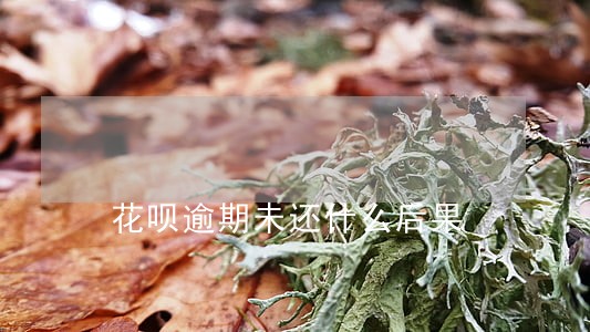 花呗逾期未还什么后果 花呗逾期未还什么后果