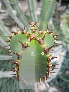 花呗逾期未还会影响购买社保吗 花呗逾期未还会影响购买社保吗