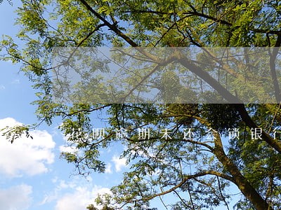 花呗逾期未还会锁银行卡 花呗逾期未还会锁银行卡