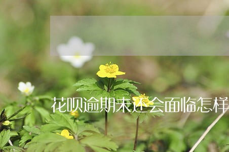 花呗逾期未还会面临怎样的后果 花呗逾期未还会面临怎样的后果