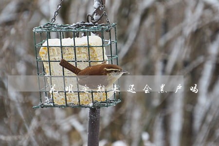 花呗逾期未还会黑户吗 花呗逾期未还会黑户吗
