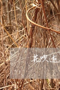 花呗逾期未还利率6 花呗逾期未还利率6