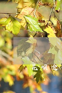 花呗逾期未还卡会被冻结吗 花呗逾期未还卡会被冻结吗