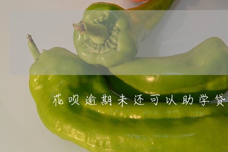 花呗逾期未还可以助学贷款吗 花呗逾期未还可以助学贷款吗