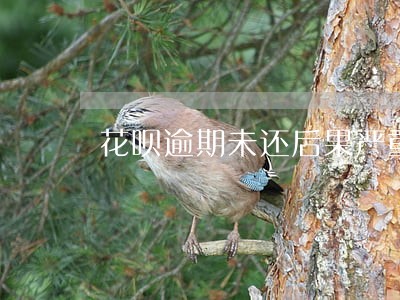 花呗逾期未还后果严重 花呗逾期未还后果严重