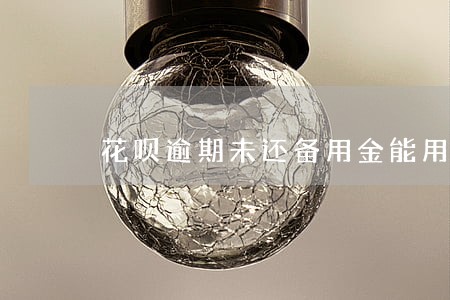 花呗逾期未还备用金能用吗 花呗逾期未还备用金能用吗