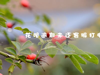 花呗逾期未还客服打电话给我 花呗逾期未还客服打电话给我
