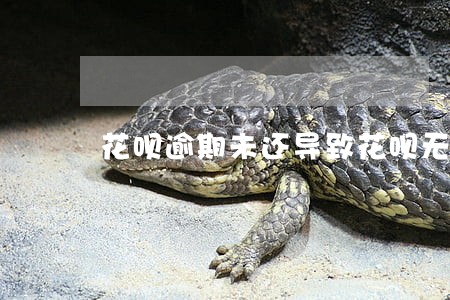 花呗逾期未还导致花呗无法使用 花呗逾期未还导致花呗无法使用