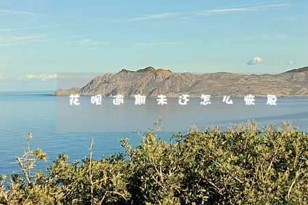 花呗逾期未还怎么恢复 花呗逾期未还怎么恢复