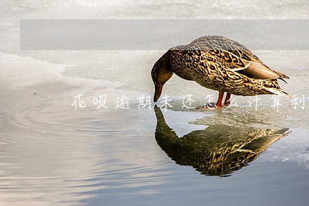 花呗逾期未还怎么计算利息 花呗逾期未还怎么计算利息
