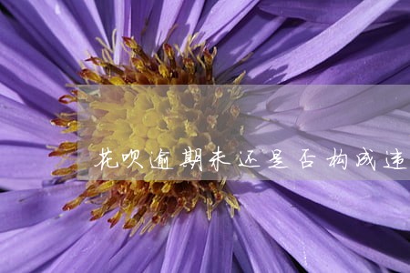 花呗逾期未还是否构成违法 花呗逾期未还是否构成违法