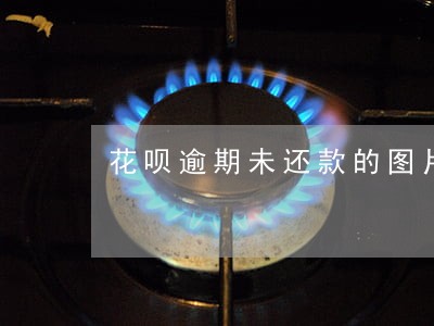 花呗逾期未还款的图片 花呗逾期未还款的图片