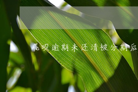 花呗逾期未还清被分期后提前还款 花呗逾期未还清被分期后提前还款