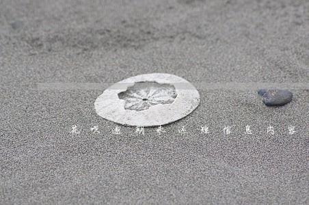 花呗逾期未还短信息内容 花呗逾期未还短信息内容