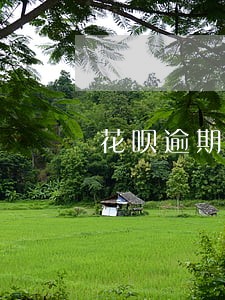 花呗逾期未还网贷能过吗 花呗逾期未还网贷能过吗