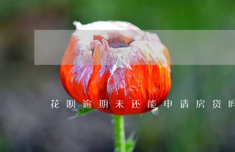 花呗逾期未还能申请房贷吗 花呗逾期未还能申请房贷吗