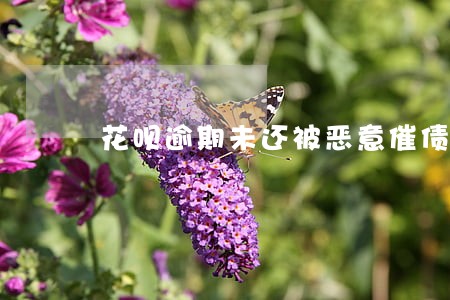 花呗逾期未还被恶意催债 花呗逾期未还被恶意催债