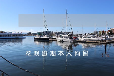 花呗逾期本人拘留 花呗逾期本人拘留