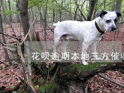 花呗逾期本地三方催收 花呗逾期本地三方催收