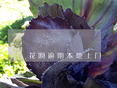 花呗逾期本地上门 花呗逾期本地上门
