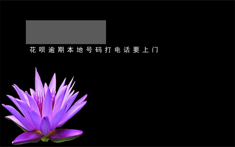 花呗逾期本地号码打电话要上门 花呗逾期本地号码打电话要上门