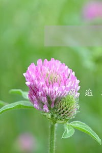 花呗逾期本地打电话说上门调查 花呗逾期本地打电话说上门调查