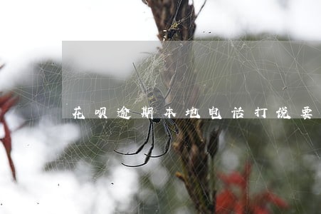花呗逾期本地电话打说要上门 花呗逾期本地电话打说要上门
