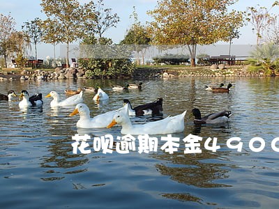 花呗逾期本金4900 花呗逾期本金4900