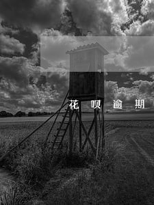 花呗逾期本页账单到下个月了 花呗逾期本页账单到下个月了