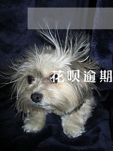 花呗逾期机器人电话 花呗逾期机器人电话