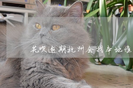 花呗逾期杭州会找本地催款吗 花呗逾期杭州会找本地催款吗