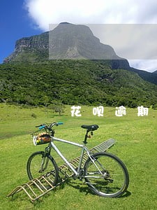 花呗逾期查征信没显示 花呗逾期查征信没显示