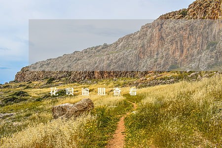 花呗逾期查看