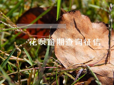 花呗逾期查询征信 花呗逾期查询征信