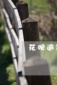 花呗逾期查询本金 花呗逾期查询本金