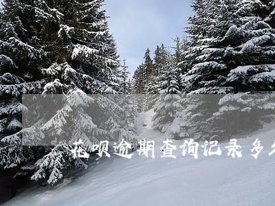 花呗逾期查询记录多久消除 花呗逾期查询记录多久消除