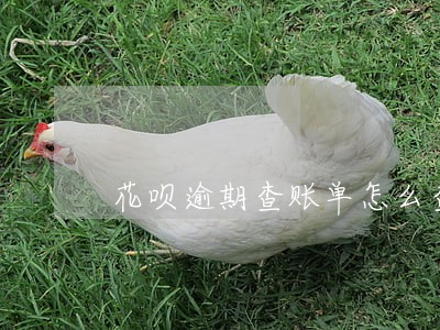 花呗逾期查账单怎么查询 花呗逾期查账单怎么查询