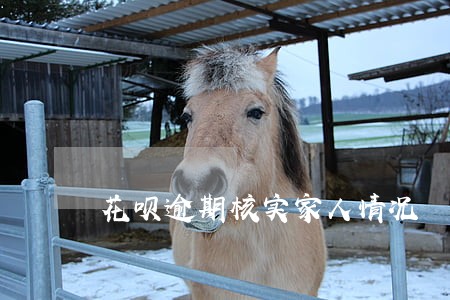 花呗逾期核实家人情况 花呗逾期核实家人情况